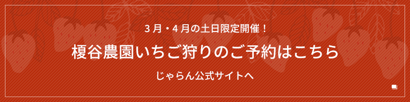 3月・4月の土日限定開催！ 榎谷農園いちご狩りのご予約はこちら